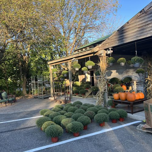 4th Generation Farmers Market in Mt Laurel Township, NJ. South Jersey fresh produce.