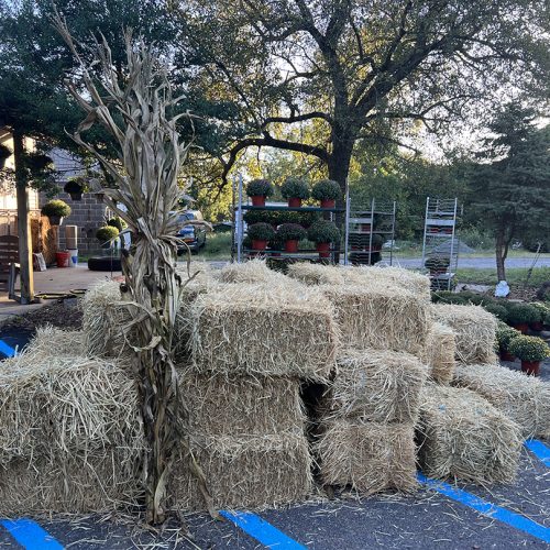 4th Generation Farmers Market in Mt Laurel Township, NJ. South Jersey fresh produce.